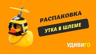 Распаковка утки в шлеме на приборную панель в авто