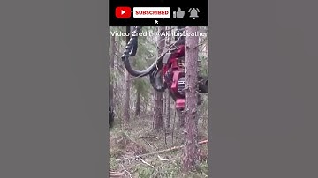 This machine can easily cut down trees  #reaction #satisfying #education #shorts