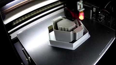 TIMELAPSE. 3D Printer. bird feeder