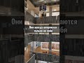 Они всегда опираются только на себя ✨