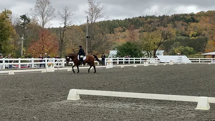 Noel and Beeper Dressage at GMHA