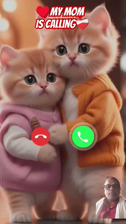 #ringtone #nadaderingtelepon #ringtones #cat #cute #funny #smartphone #music #bgm #calling