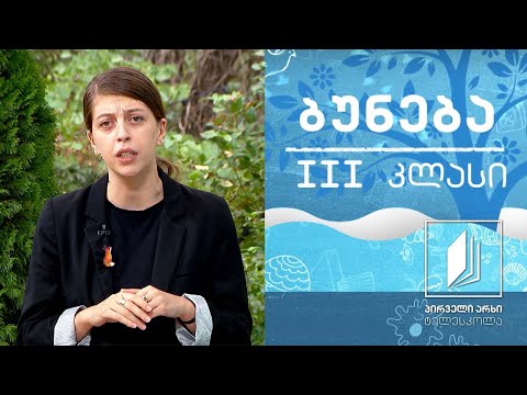 ბუნება, III კლასი - მზის სისტემა #ტელესკოლა