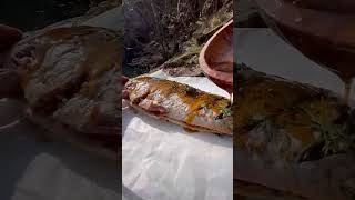 SAZAN PİŞİRME     Cooking Fish in primitive mud 🐟 #kamp