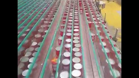 Buffer Conveyor