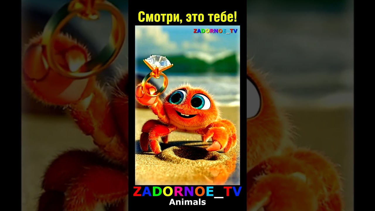 Смотри, это тебе! 🧡  