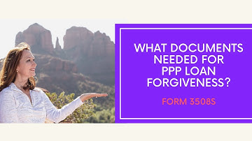 What documents needed for the PPP Loan Forgiveness? (Form 3508S)