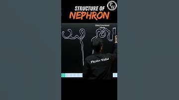 Structure of Nephron Diagram🧠 #pwenglish #science #biology