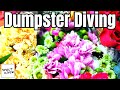 Get Tons of FREE Stuff Dumpster Diving! - S4E13