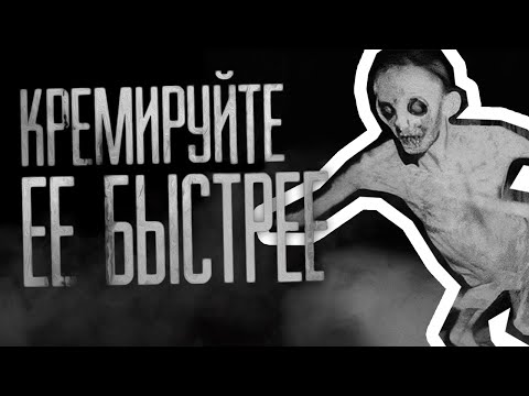 КРЕМИРУЙТЕ ЕЁ БЫСТРЕЕ — ОТКУДА МЕМ?