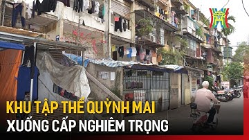 Người dân mong sớm cải tạo khu tập thể Quỳnh Mai | Tin tức