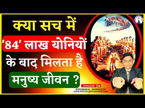 वीडियो: क्या सक्सेस डॉग्स के लिए जहरीला है?