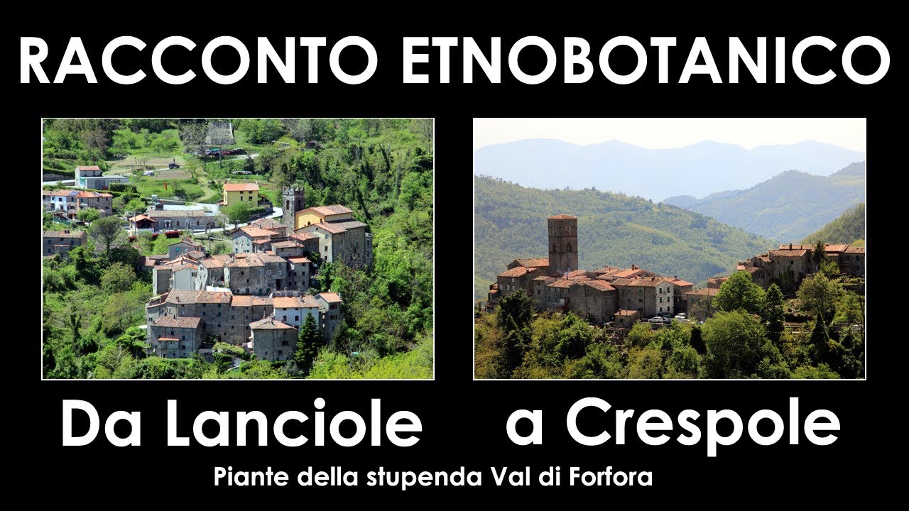 DIVINA FLORA - Due paesi e tante piante.