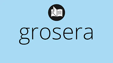 ¿Cómo se llama un comentario grosero?