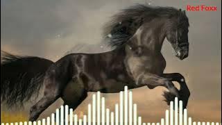 horse sound|animal sounds|#animalsounds|horse ringtone|animal sounds ringtones|ringtones|Red Foxx