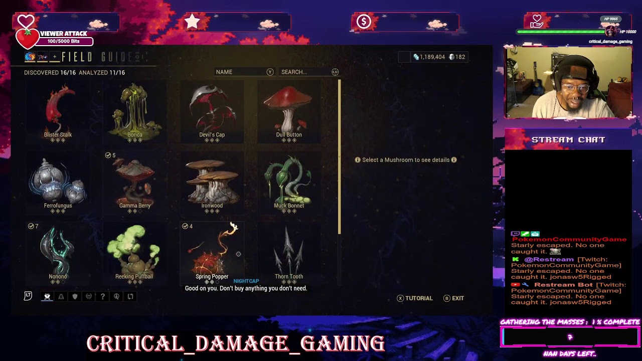 Warframe: The Gara Prime Build