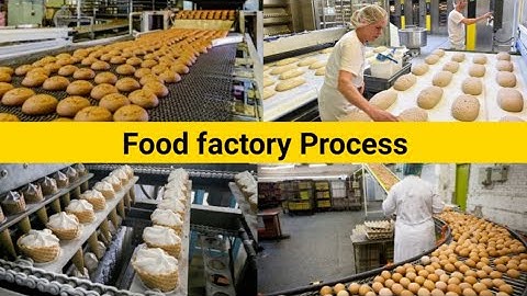 Modern Food Processing Technology with Cool Automatic Machines That Are At Another Level - in 2021