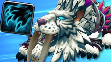 Feral Druid PULVERIZED That Paladin! (5v5 1v1 Duels) - PvP WoW: Shadowlands 9.0.5