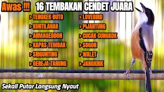 PANCINGAN CENDET FULL ISIAN MEWAH AMPUH BIKIN CENDET MANAPUN AUTO NYAUT