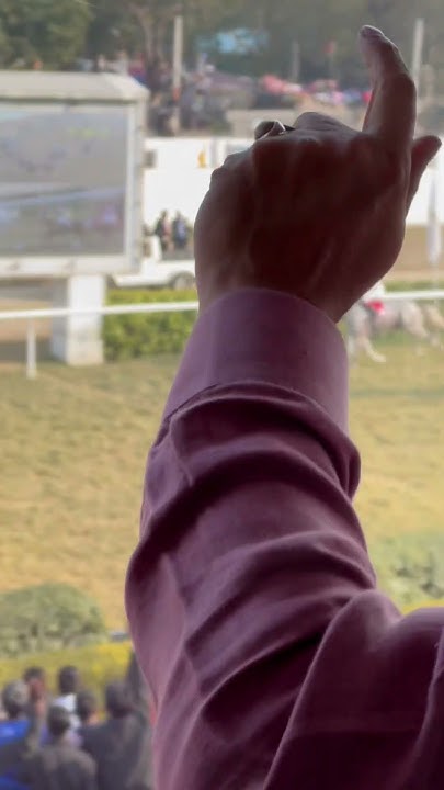 Race Course Delhi shorts youtubeshorts ytshorts horseriding race-course-delhi-shorts-youtubeshorts-ytshorts-horseriding