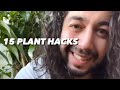 15 plant  garden hacks  creative explained