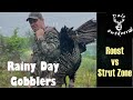 Setting up on late season gobblers roost vs strut zone which is best