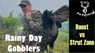Setting Up on Late Season Gobblers/ ROOST vs STRUT ZONE/ Which Is Best?