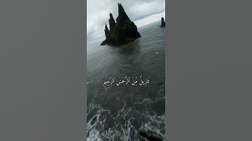 واتس اب قرآن كريم ياسر الدوسري ( سورة فصلت)
