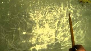 Crank2.avi