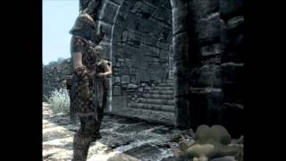 Skyrim 1 uniform stealing