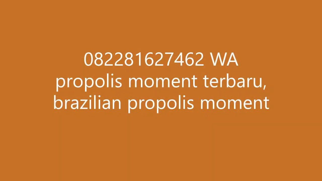 082281627462 WA propolis moment terbaru, brazilian ...