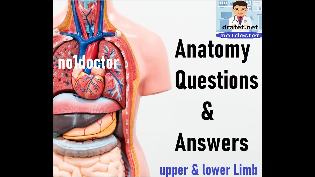Anatomy MCQs / Upper and Lower limb / Surgical Anatomy /Anatomy Lecture /no1doctor/Mrcs/Usmle/Frcs