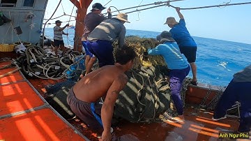 Ngư Dân Ghe Cào Đôi Thả Cào Bắt Cá, Bắt Ghẹ, Bắt Tôm, Bạch Tuộc,... | Anh Ngư Phủ