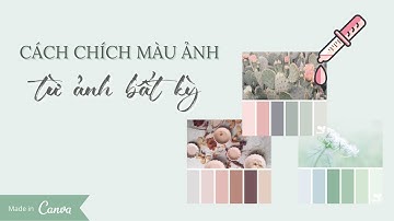 Cách lấy màu từ ảnh bất kỳ | Boram Template For You