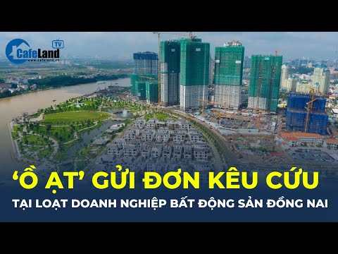 Bản tin: Hàng loạt doanh nghiệp bất động sản tại Đồng Nai gửi đơn KÊU CỨU | CafeLand 2023 mới nhất