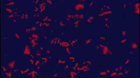 How to download Flash Builder for making android apps FREE!