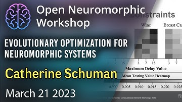 Evolutionary Optimization for Neuromorphic Systems - Catherine Schuman, University of Tennessee