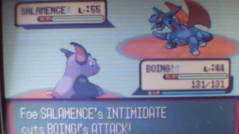 Pokemon Ruby - Drake