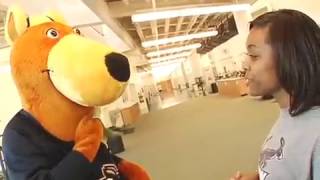 Zippy hits the gym!