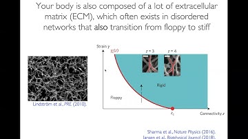March 29, 2021: Lisa Manning