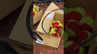 Tennis Coach deals with huge spider
