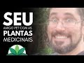 Salve seu melhor amigo pet com as plantas medicinais