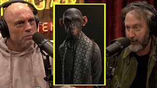 The Story About The Chimp Human Hybrid | Joe Rogan & Tom Green screenshot 5