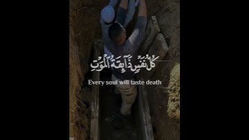 سورة العنكبوت #سورة_العنكبوت #القرآن_الكريم #اذكار_الصباح