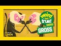 Family Dynamics and Humorous Traits