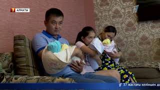 Астана күні мерекесі қарсаңында Алматыда үшем дүниеге келді