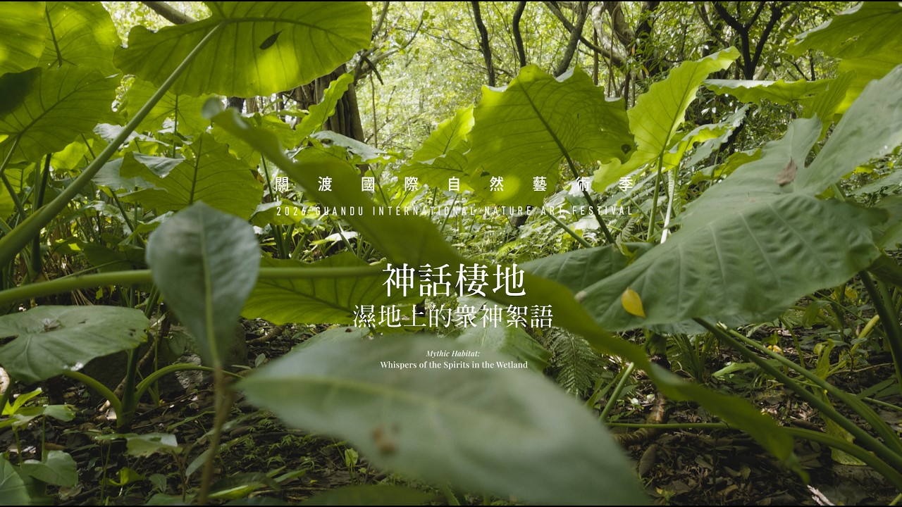 2026 關渡國際自然藝術季|神話棲地:濕地上的眾神絮語-前導影片
