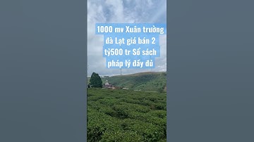 Đất Xuân trường đà Lạt 1000 mv giá bán 2 tỷ 500 tr Lh 0353950563