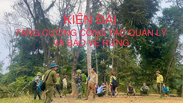Kiên Đài tăng cường công tác quản lý, bảo vệ rừng