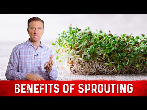 Nutritional Benefits of Sprouts